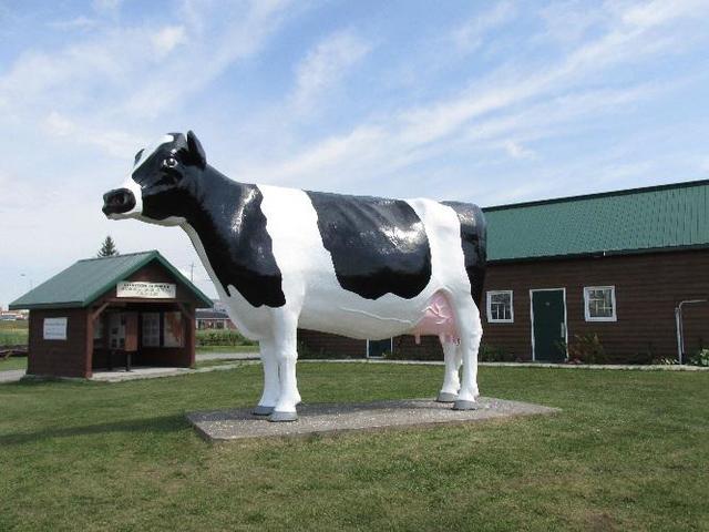Ms. Claybelt a larger than life statue of a Holstein-Fresian